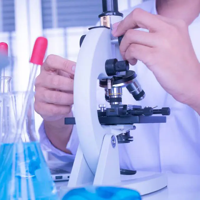 Proceso de producción del borato de zinc